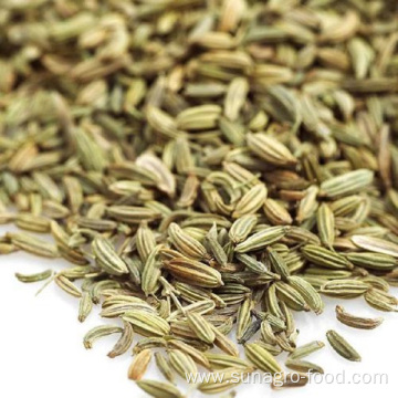 Top Quality Spice Fennel